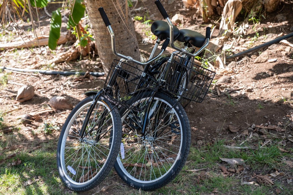 alla mandria affittano biciclette