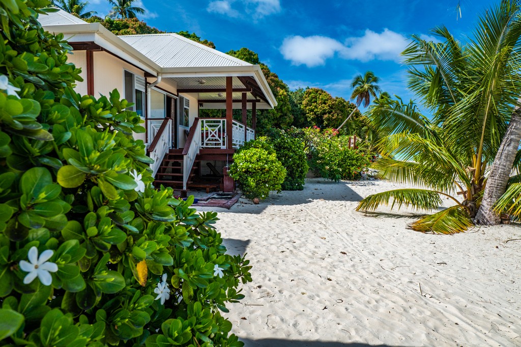 fiori di tiare in primo piano su spiaggia con bungalow e palme