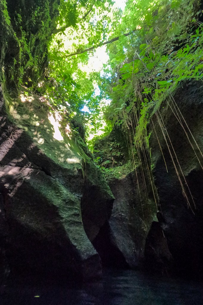 Titou Gorge a Dominica gola piccola