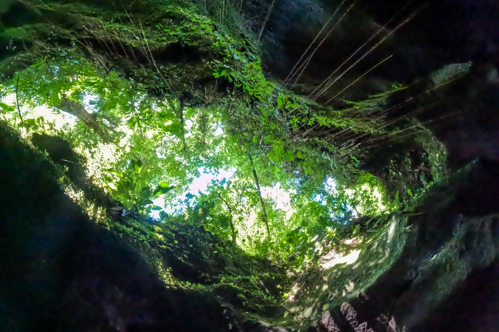 Titou Gorge a Dominica gola scura