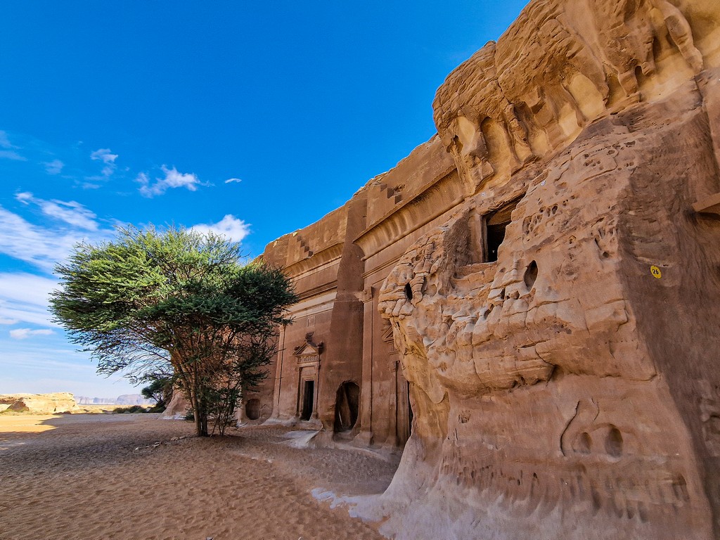 guida alla visita di AlUla  roccia con albero