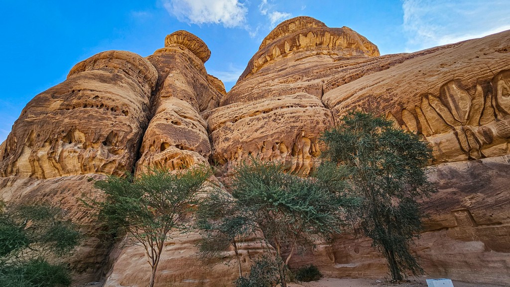 Guida alla visita di Hegra resti archeologici nella roccia